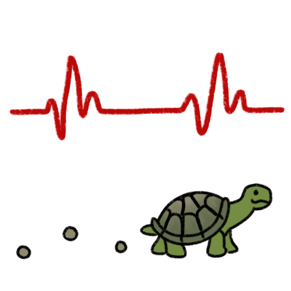  a slow heart rhythm pictured above a turtle walking with dots behind it, indicating it’s slow. 